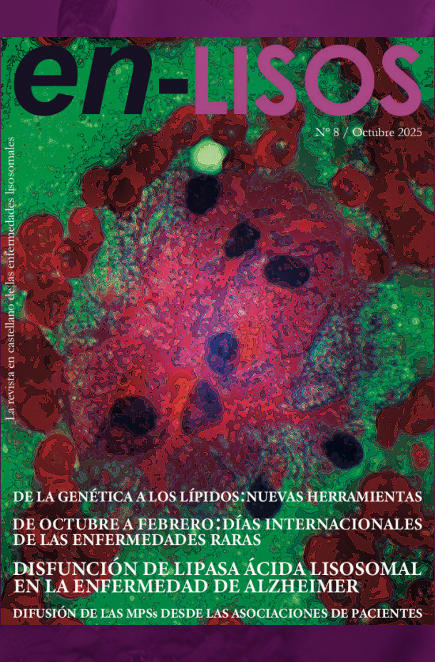 en-LISOS No.8